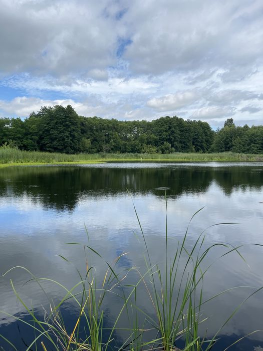 Кийлів. Ділянка з власним виходом на р.Дніпро!