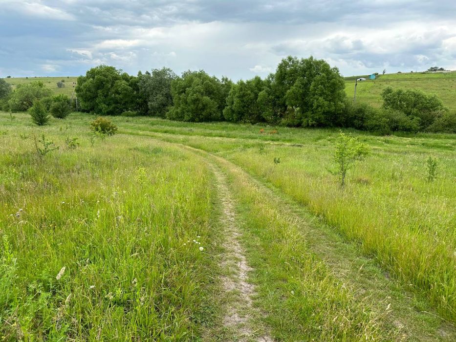 Продаж земельної ділянки в Підгородньому