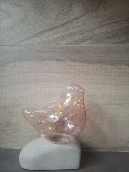 Ozdoba świecącą,  ptak