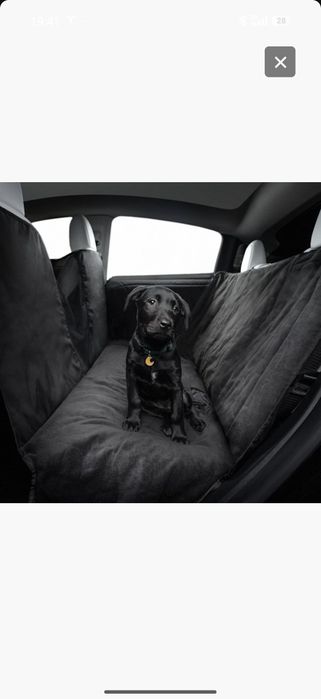 Proteçao para cães Tesla Model Y