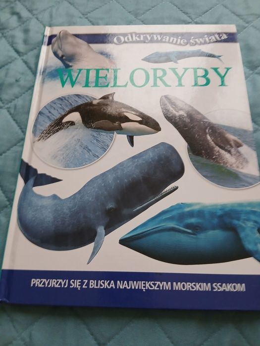 Książka Wieloryby