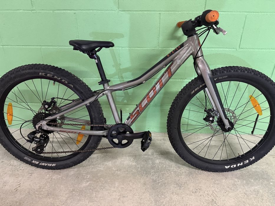 Scott roxter roda 20