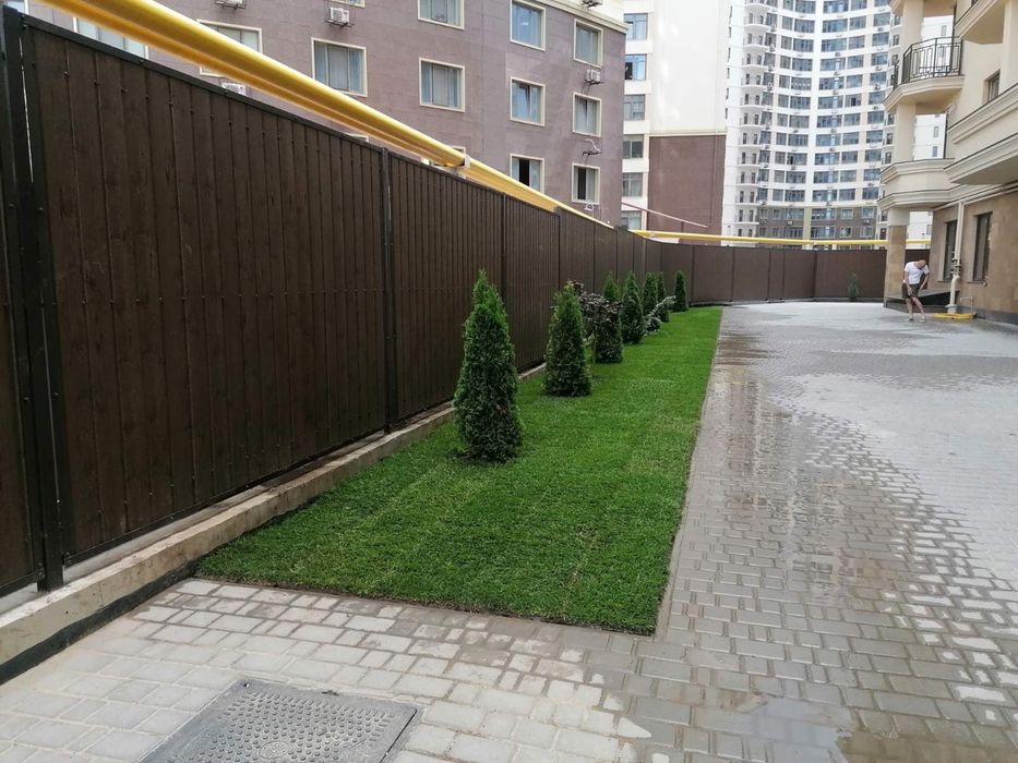 Рулонный газон, укладка рулонного газона