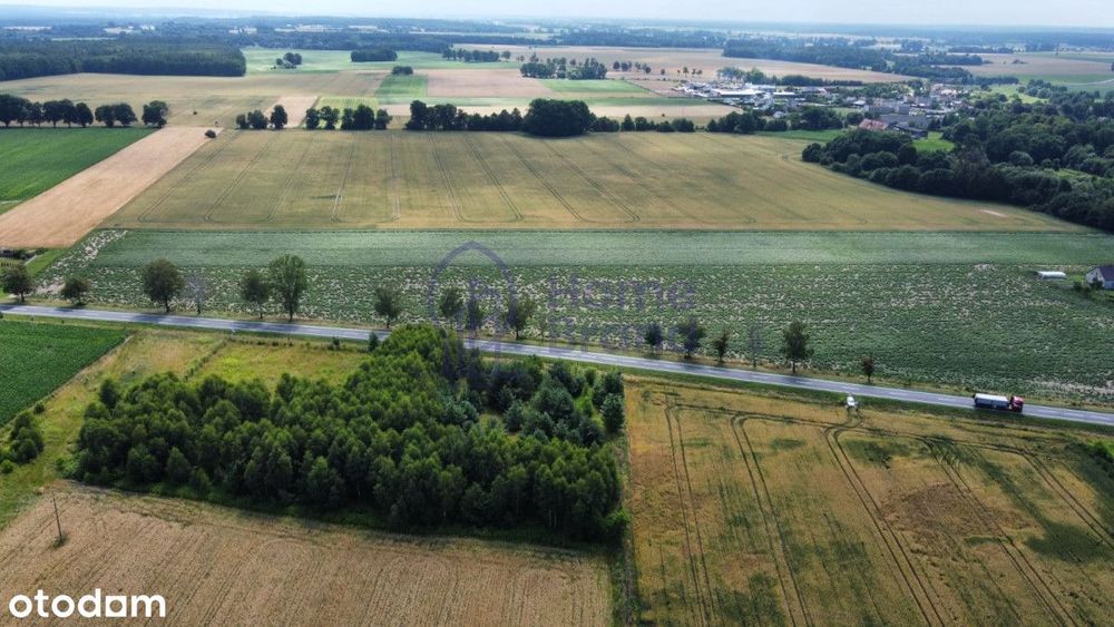 Działka budowlana 1480 m2 | Drołtowice