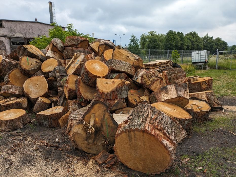 Dębowe kłody pnie plastry opał dąb stolik