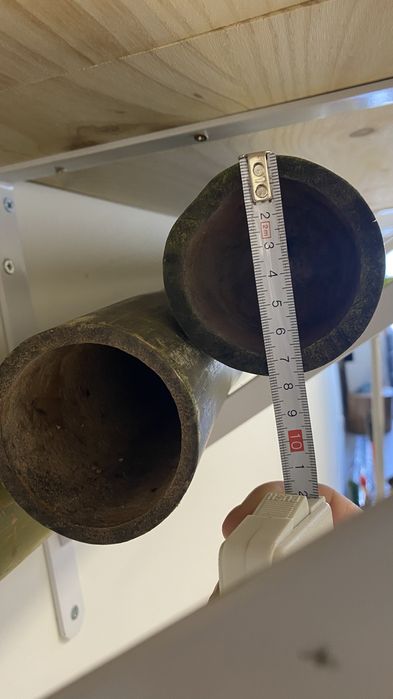 Canas em bambu para decoracao