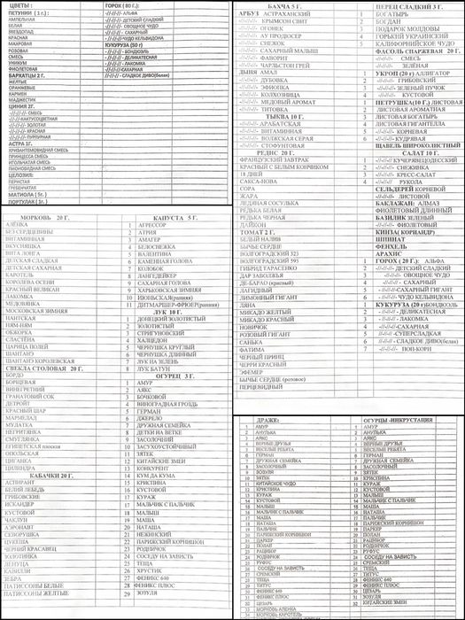 Насіння від виробника оптом