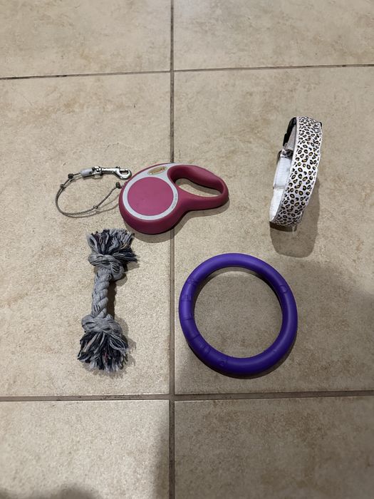 Рулетка поводок