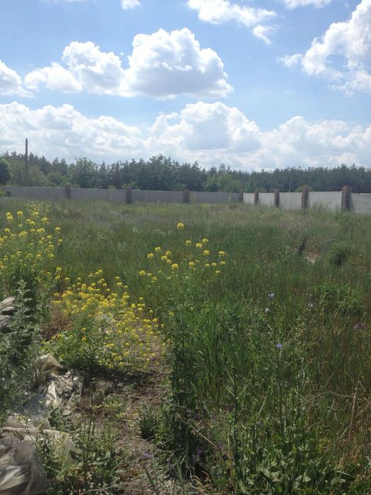 Продам дом в Орловщине . Хозяин. 24 сотки