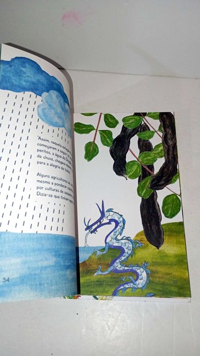 Vamos Salvar o Dragão