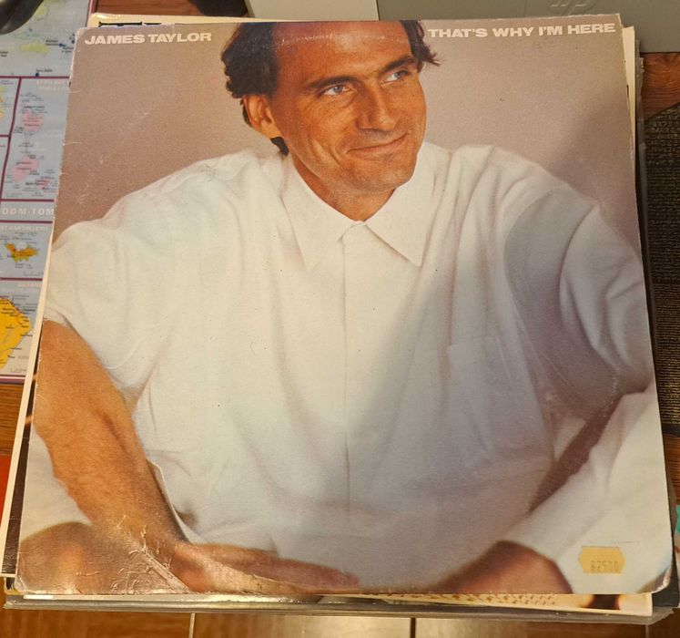 Discos de VINIL LP variados