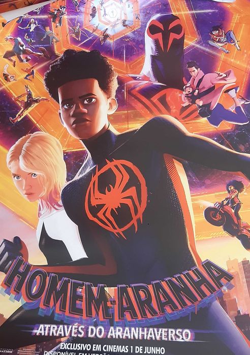 Poster Velocidade Furiosa/ homem aranha no aranhaverso