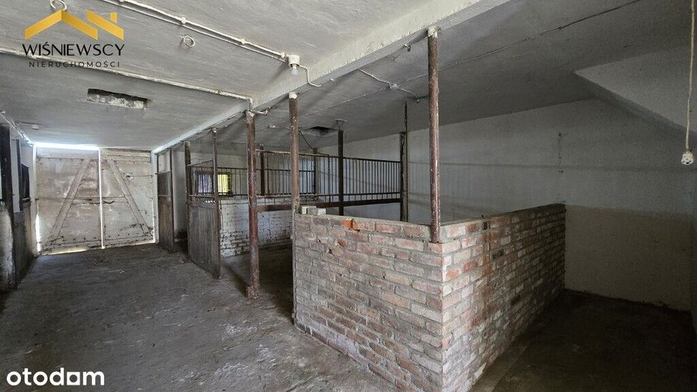 Dom z zabudowaniami, działka 5300m², Kościeleczki