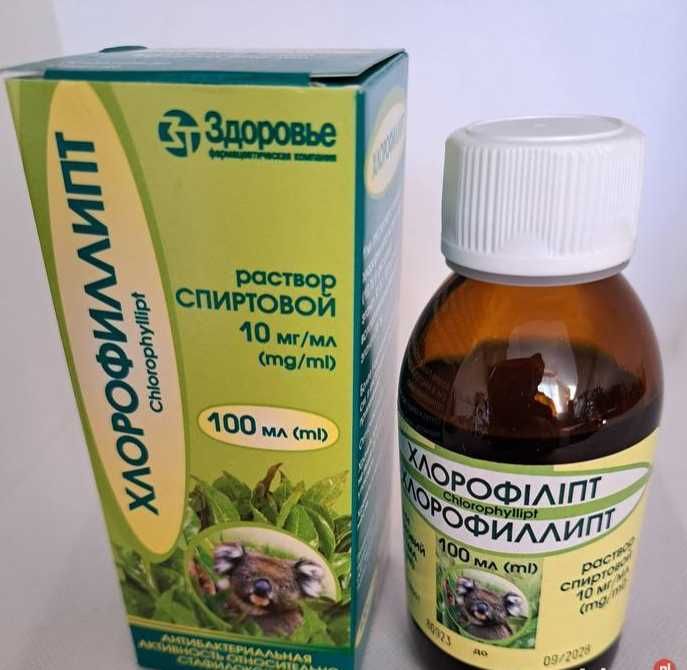 Chlorofilipt Naturalny Wyciąg z Eukaliptusa chlorofil
