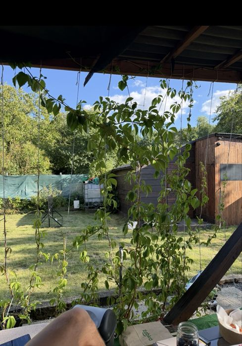 Piekna, duza, sloneczna dzialka 650m2, nie ROD, ogrodek dzialkowy Kato