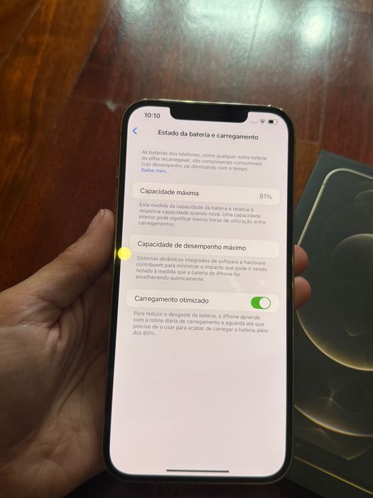 iPhone 12 Pro Max 256gb + Capas