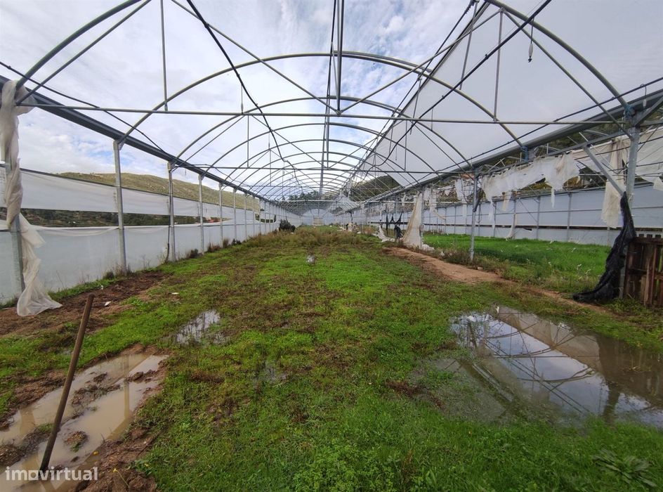 Quinta  Venda em Vela,Guarda