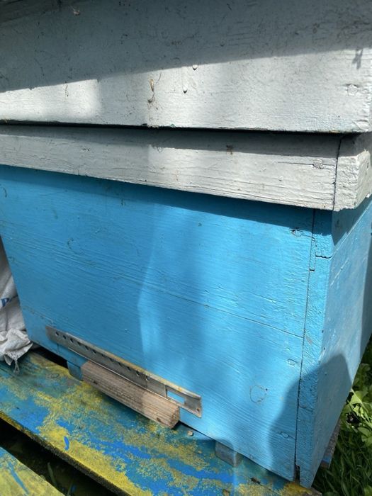 Продам вулики дадани 12 рамок