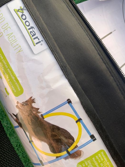 Obstáculos treino de animais cão