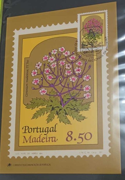 Postais Maximos - Portugal Flores da Madeira