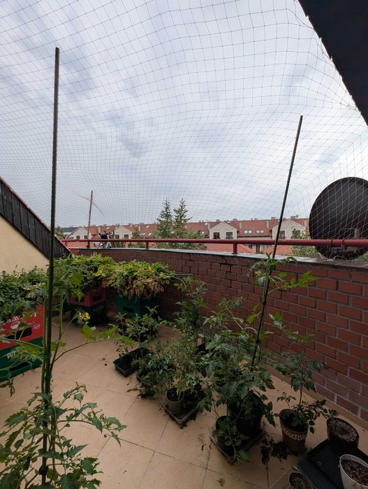 Jasne,przestronne mieszkanke,4 pokoje - Wysoka