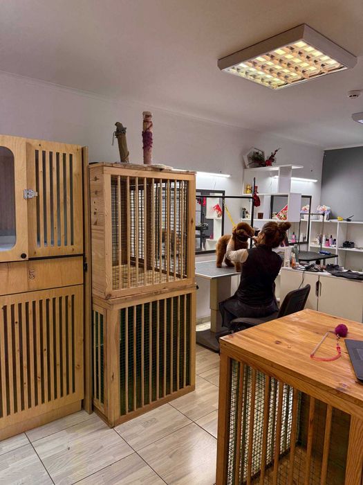 Бізнес Грумінг-салон, перетримка тварин