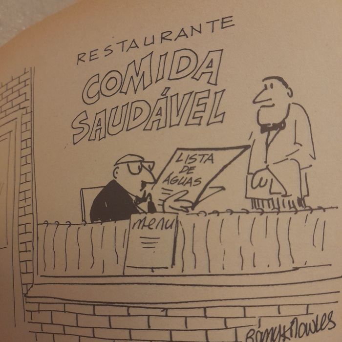 Livro "O mundo louco dos verdes"