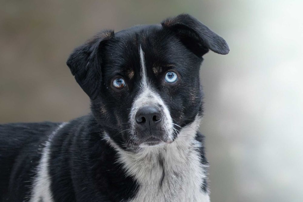 Ksawerio: energiczny, otwarty, entuzjastyczny