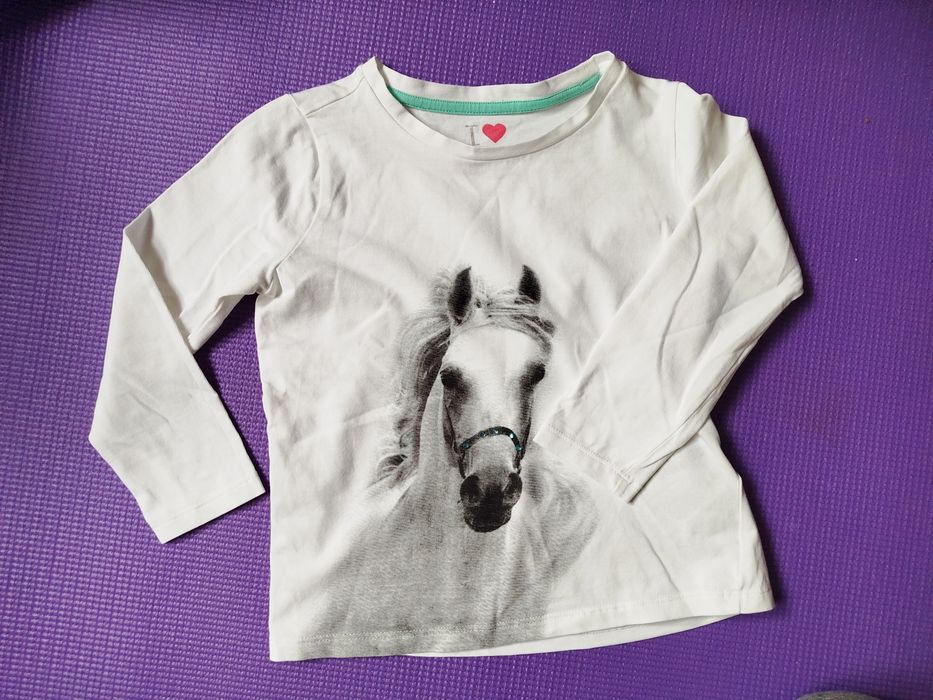 Paka ubrań dla dziewczynki, 110/116