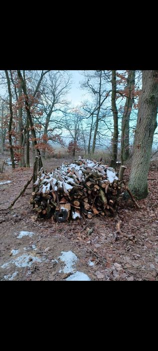 Drewno opałowe sosna,brzoza