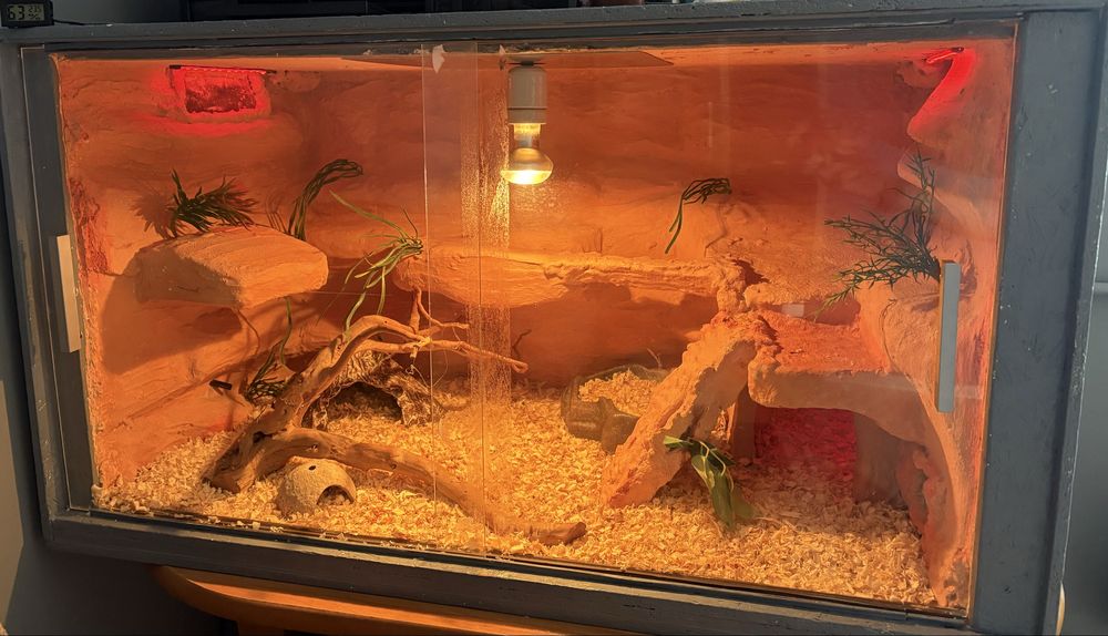 Terrarium 101,5 × 57 cm kompletne wyposażenie, gotowe dla gada