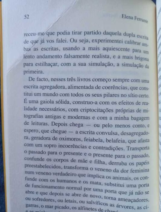 As Margens e a Escrita - Elena Ferrante