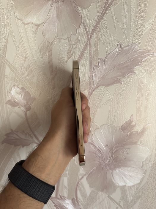 iPhone 12 Pro 256 GB