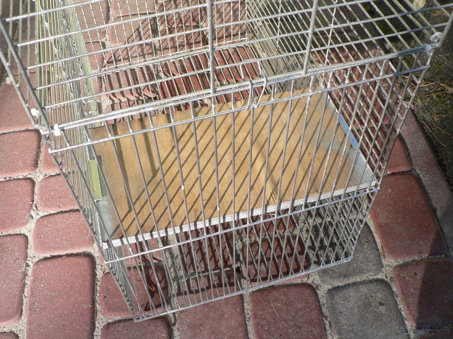 Klatka dla królika , szynszyla .