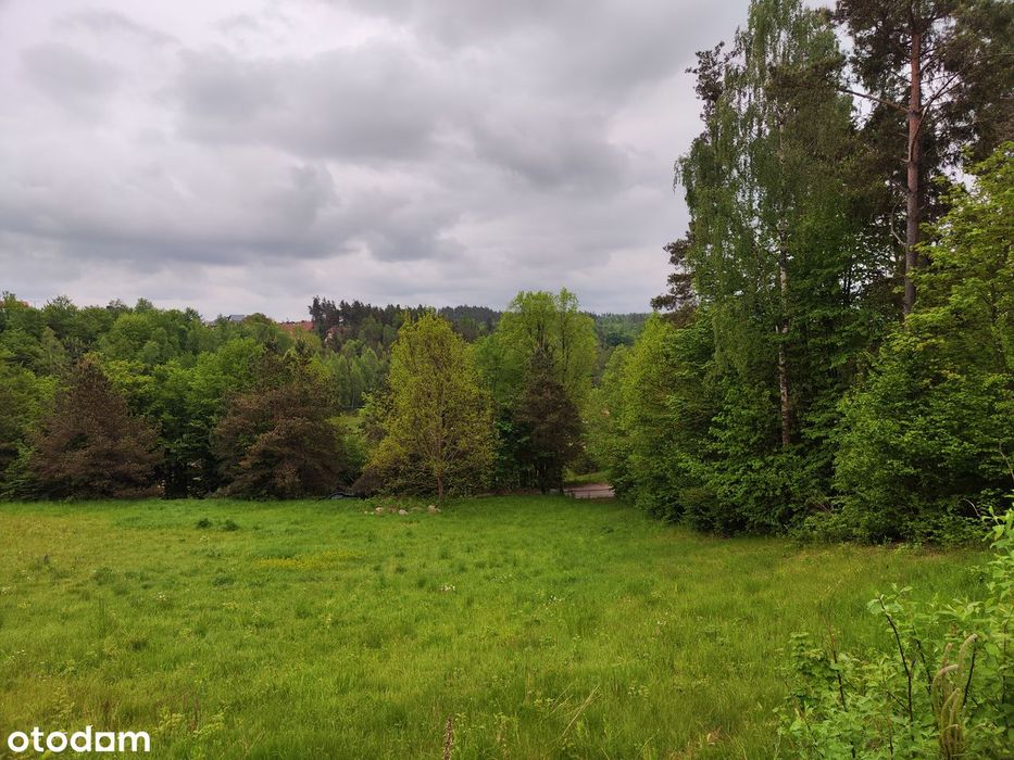 Działka budowlana na Kaszubach- Sulęczyno