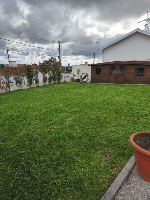 Serviços jardinagem
