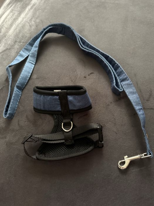 Шлея для собаки або кішки