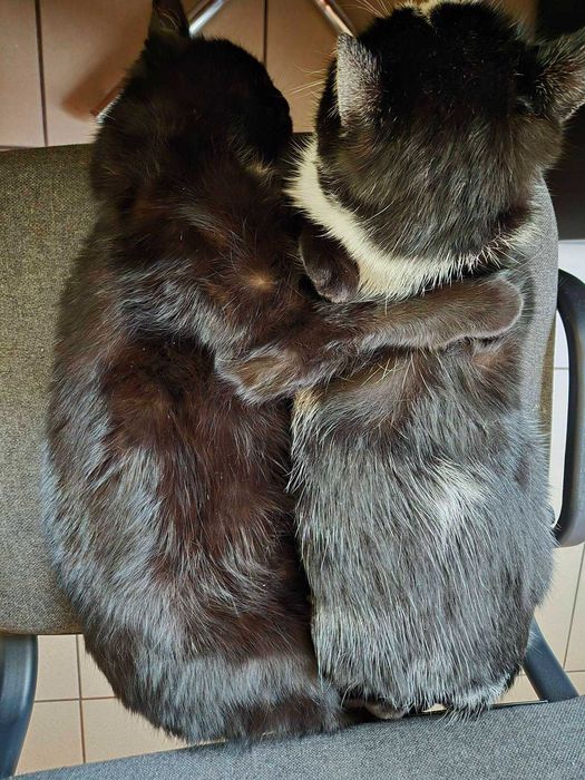 Czy uda się im znaleźć wspólny domek?:(