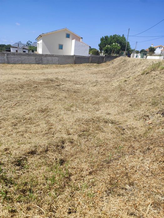 Limpeza e Manutenção de Jardins