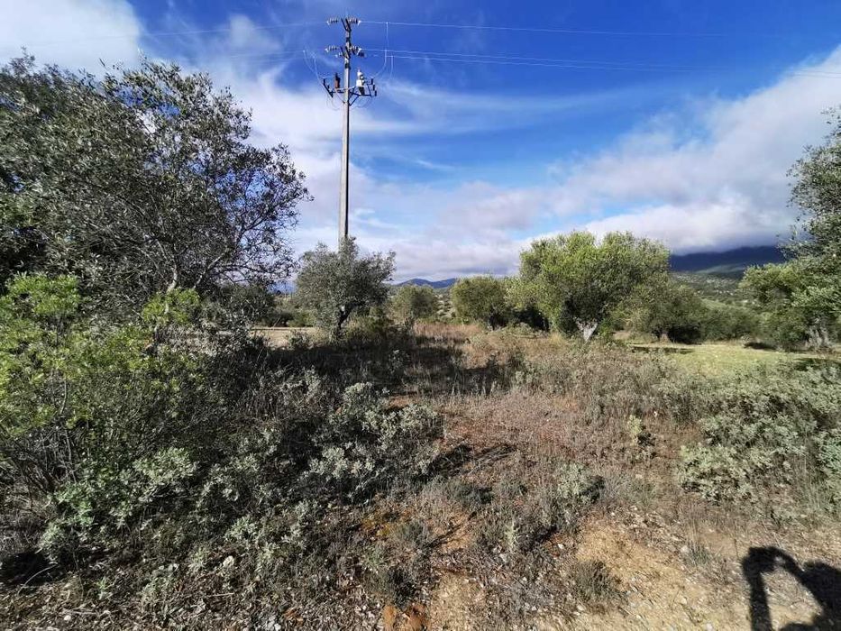 Terreno em Pedrogão 50 centimos o m2