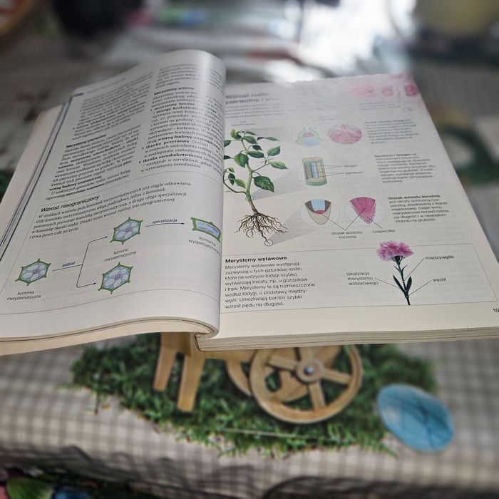 Biologia na czasie 2.