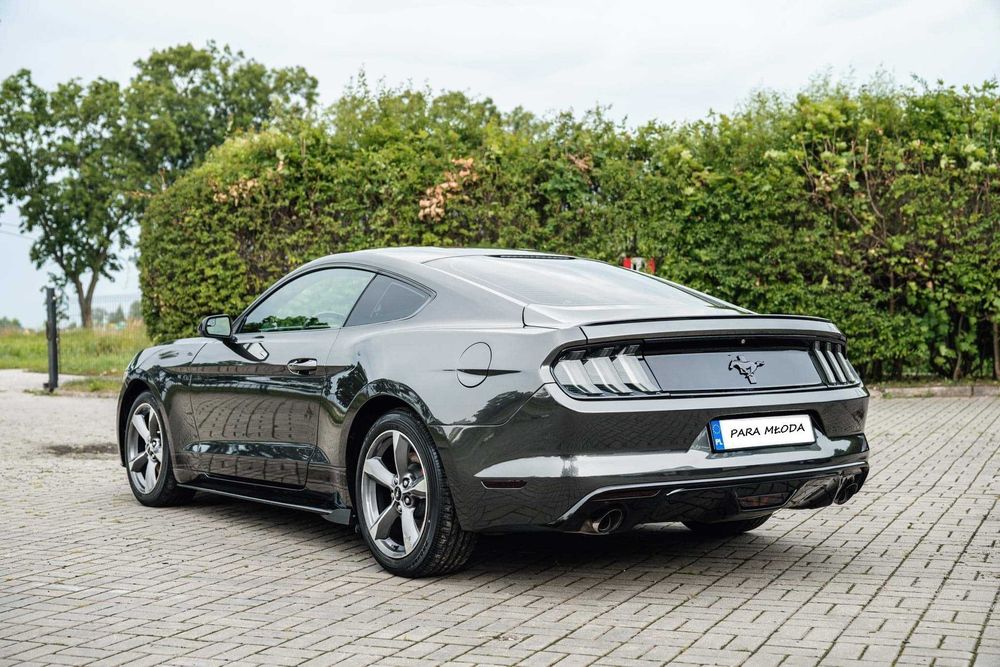 Mustang! Auto na ślub wesele, 18stka, panieńskie i inne! !Na wynajem!