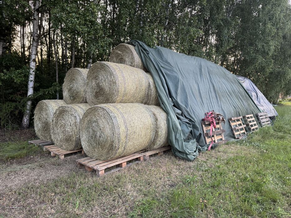 Siano w balach 125x125