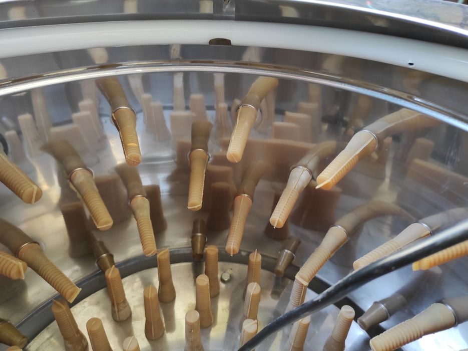 Depenadora de galinhas e outras aves