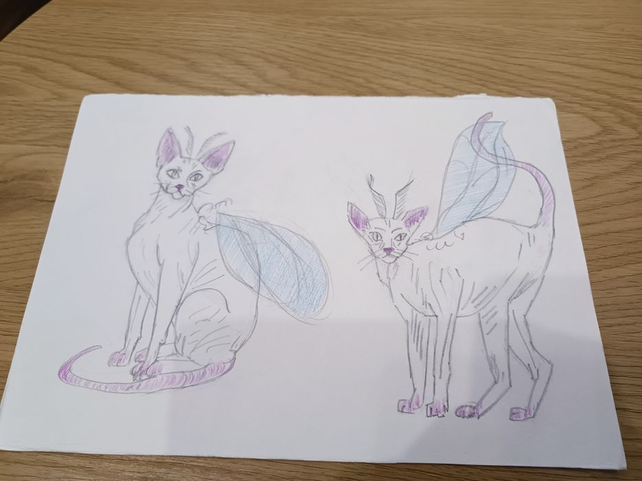 Малюнок, рисунок.