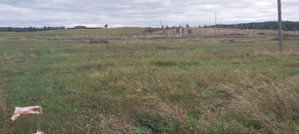 Działki na Mazurach Kuty - View 2
