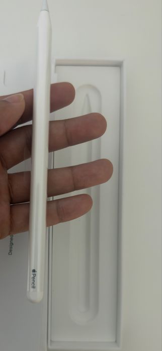 Pencil da apple