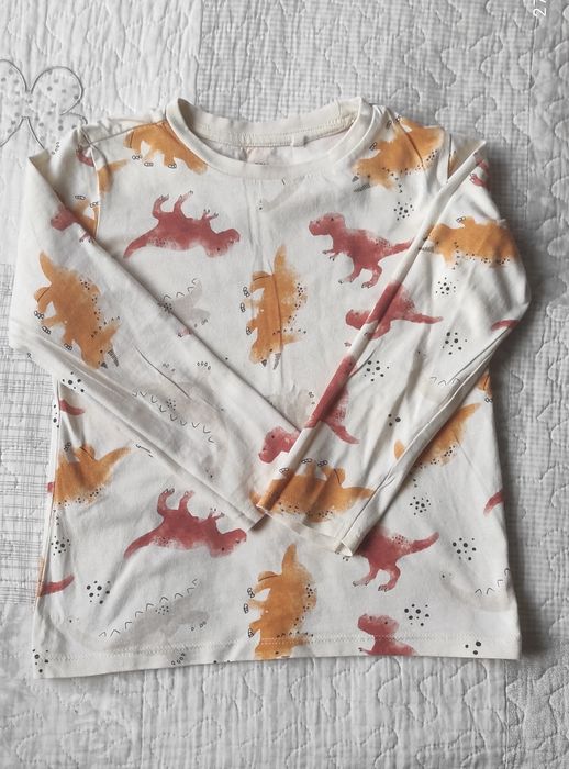 Koszulka z długim rękawem w dinozaury Sinsay r. 116