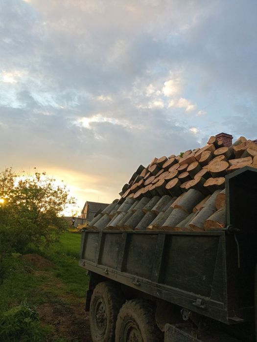 Дрова бук граб тверда порода