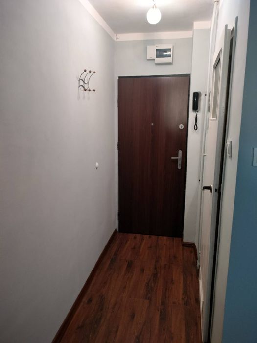 Kawalerka do wynajęcia